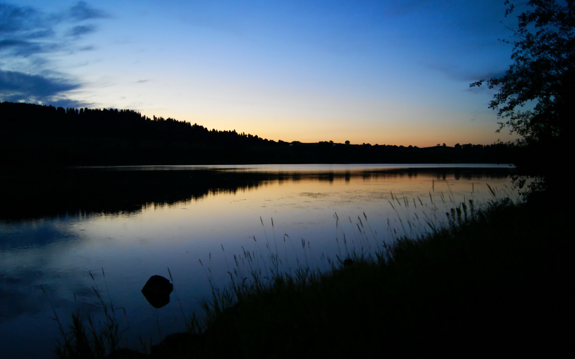 兼收并蓄:联盟中多元文化的精彩展现,兼收并蓄读音是什么意思