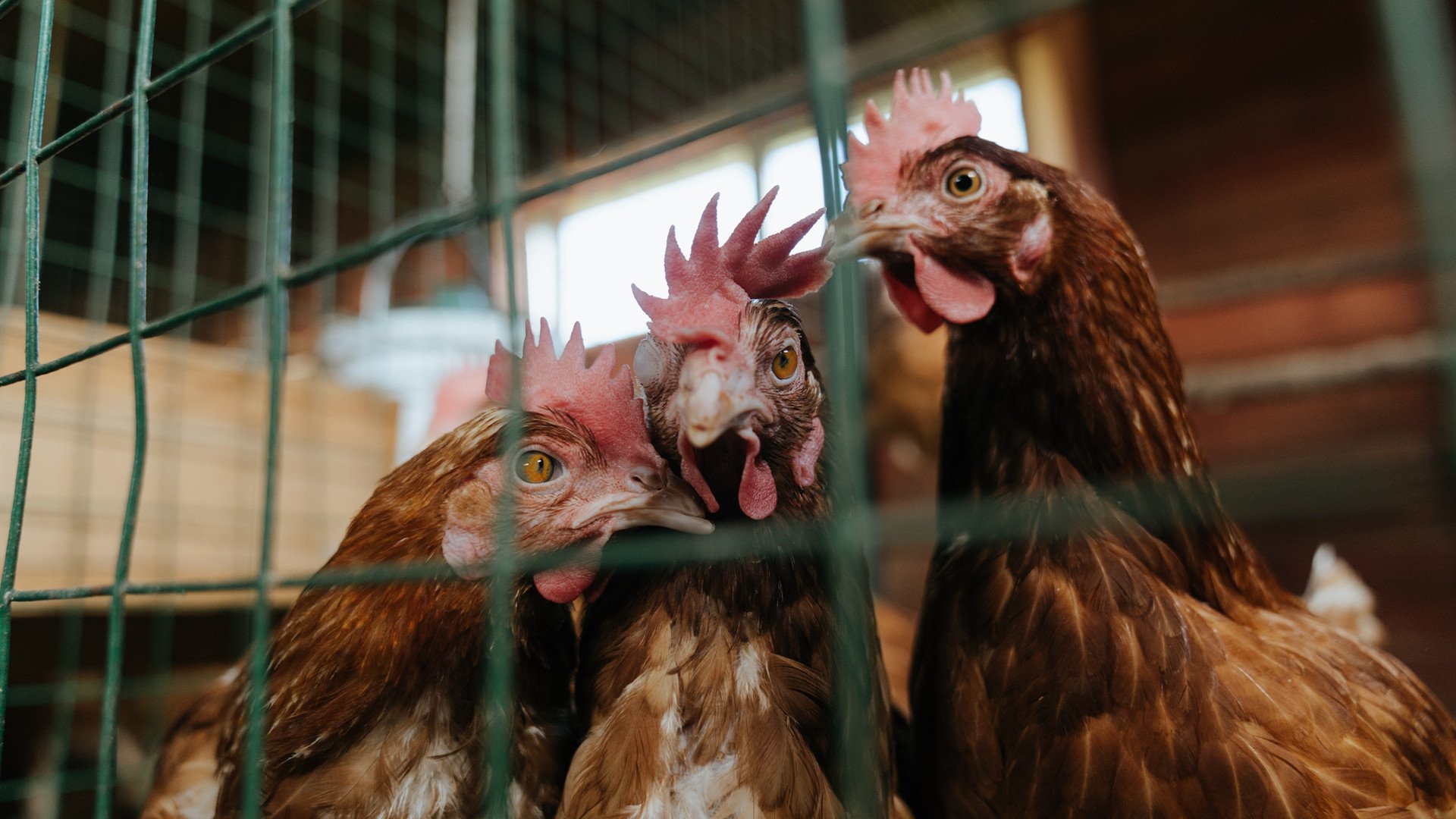 kaiyun官方入口登录-哥伦比亚马术协会与科技公司合作，开发虚拟现实训练平台，提升骑手技能。