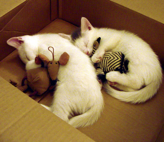 本赛季主流战术揭秘:高位压迫VS反击反扑,高位压迫的优点