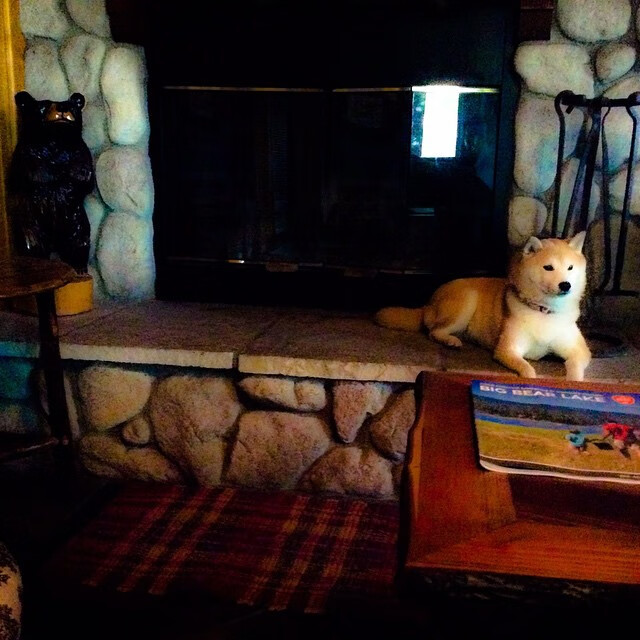 开云·Kaiyun网页版-特色乡村趣味运动会，留住乡土的乡愁韵味，乡村运动会口号