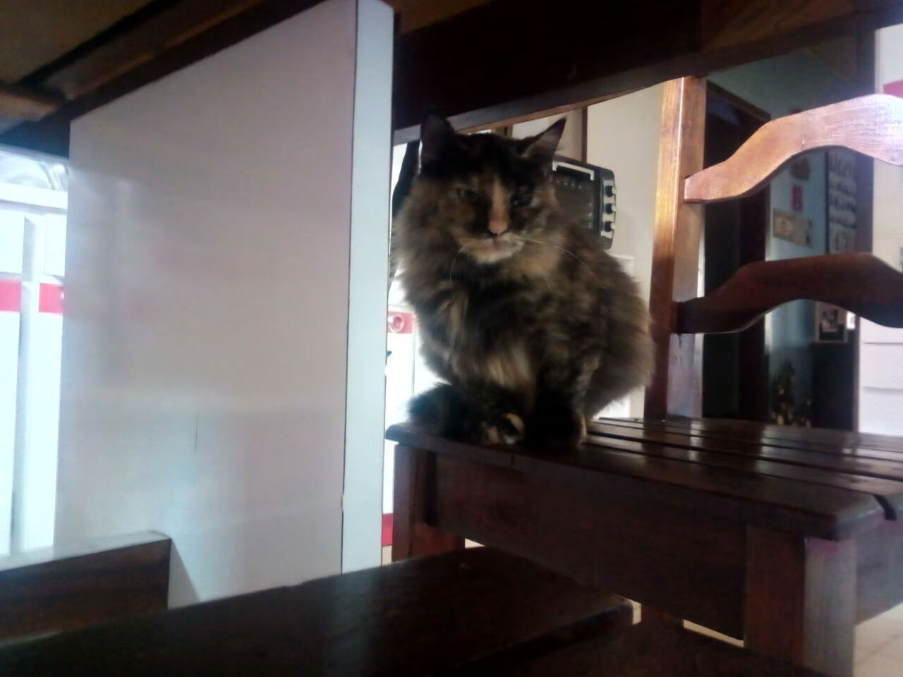 特色乡村趣味运动会，留住乡土的乡愁韵味，乡村运动会口号