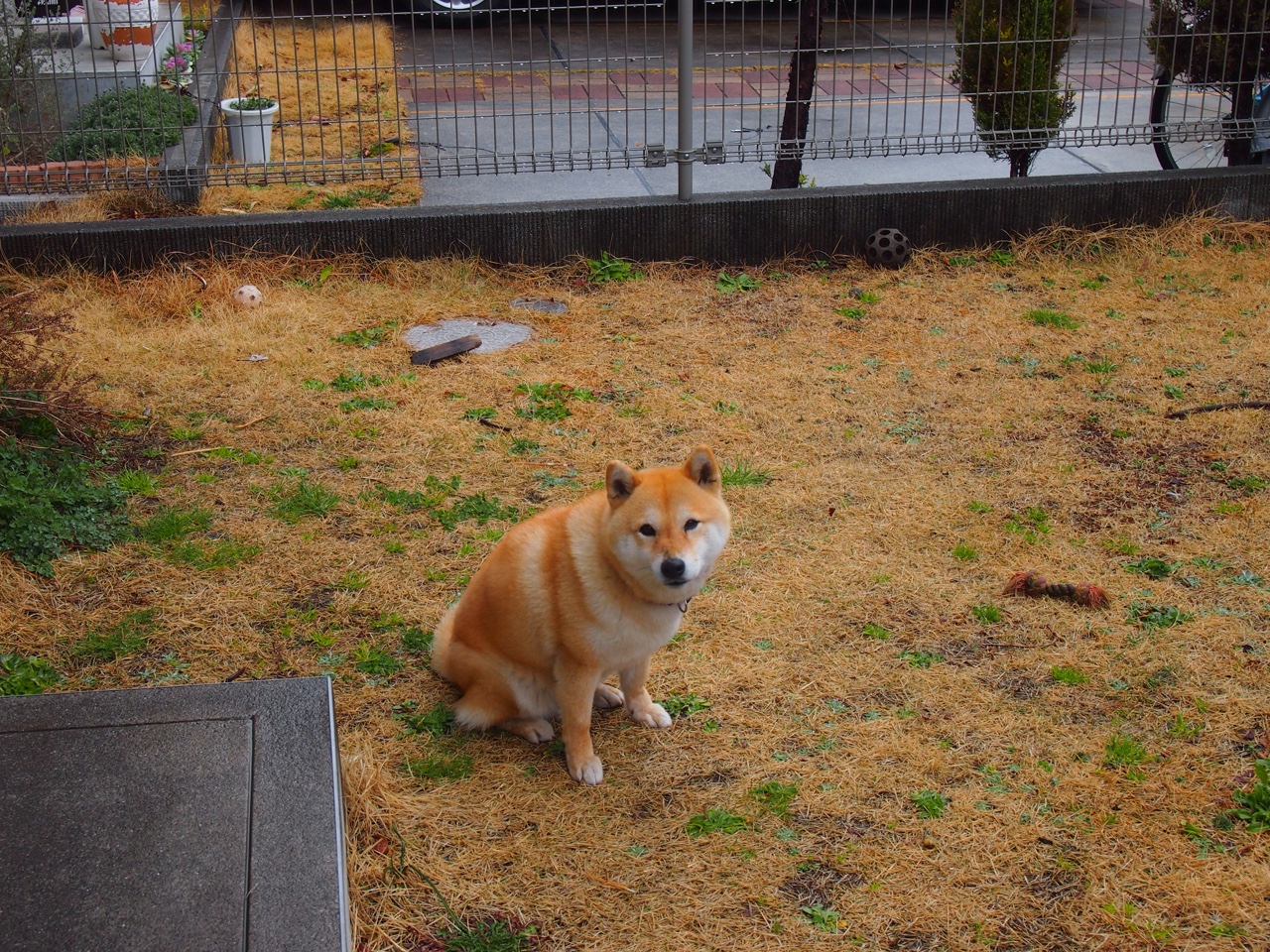 运动员信心指数:赛前心理状态分析,赛前运动员心理过度紧张会造成什么