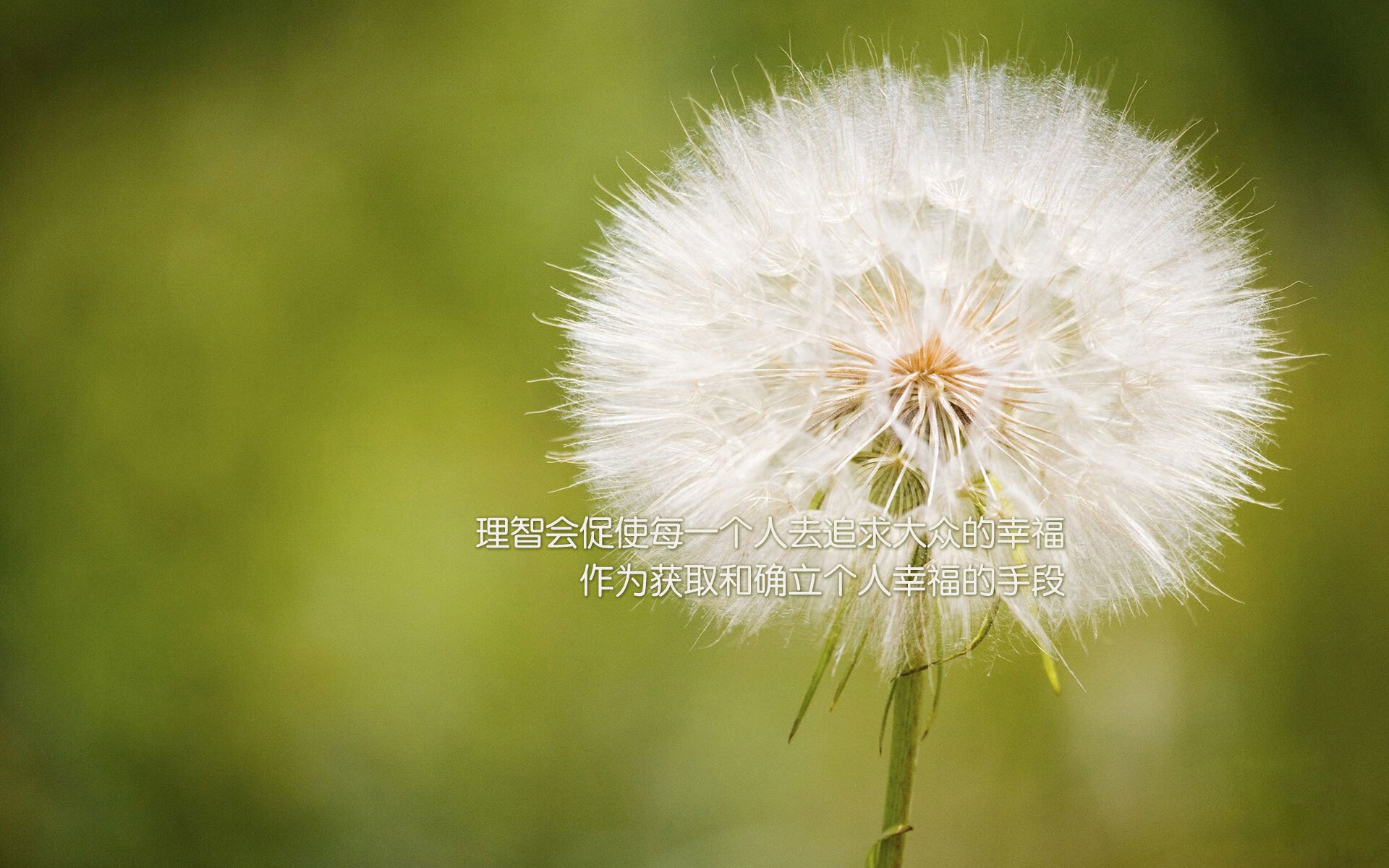 kaiyun体育综合-阿根廷战术革新初见成效，阿根廷国家队战术