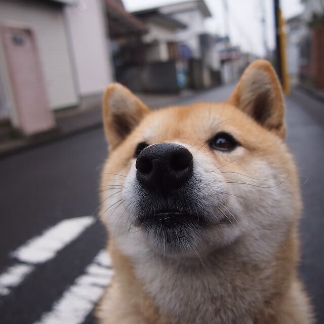 高能数据:助攻22次,投篮命中率达46%!,投篮命中率50%