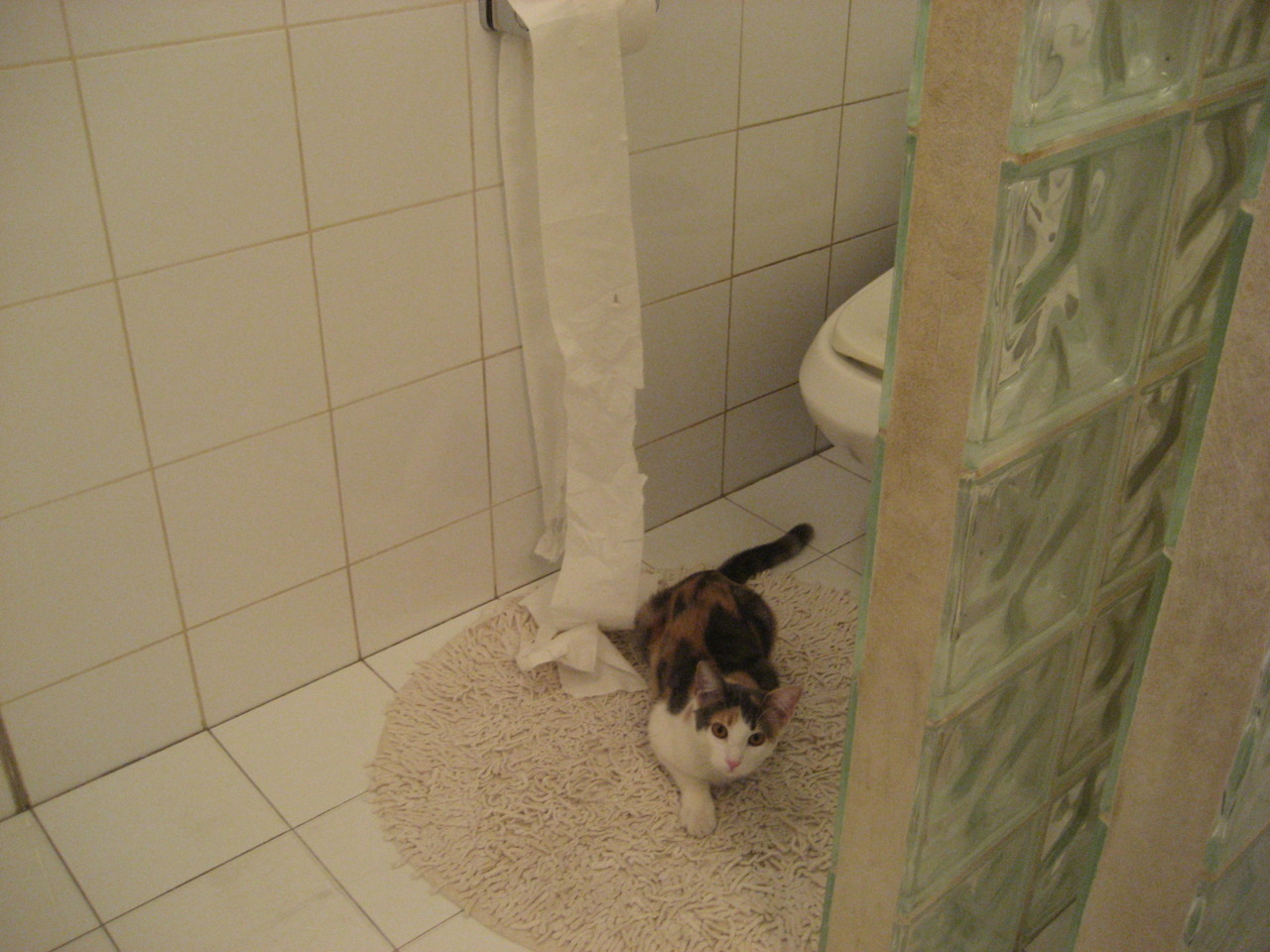 IG战队正式引进营养师,助力科学饮食管理,ig青训营