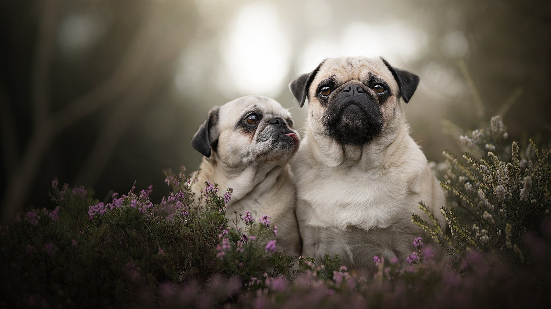 JDG战队推广电子竞技伤病预防指南,jdg电子竞技俱乐部