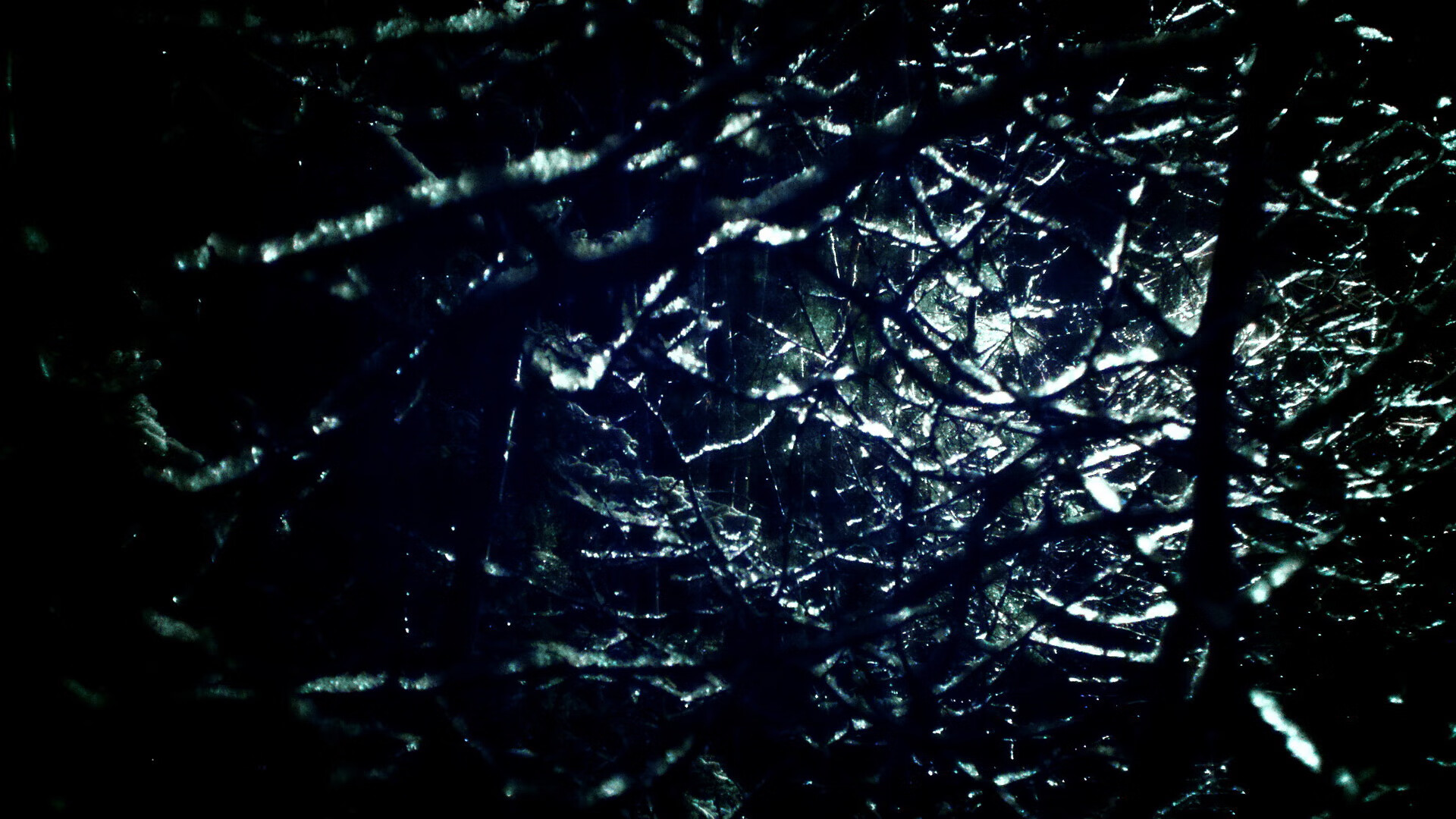 上海海港中场组织能力增强，上海海港队官网