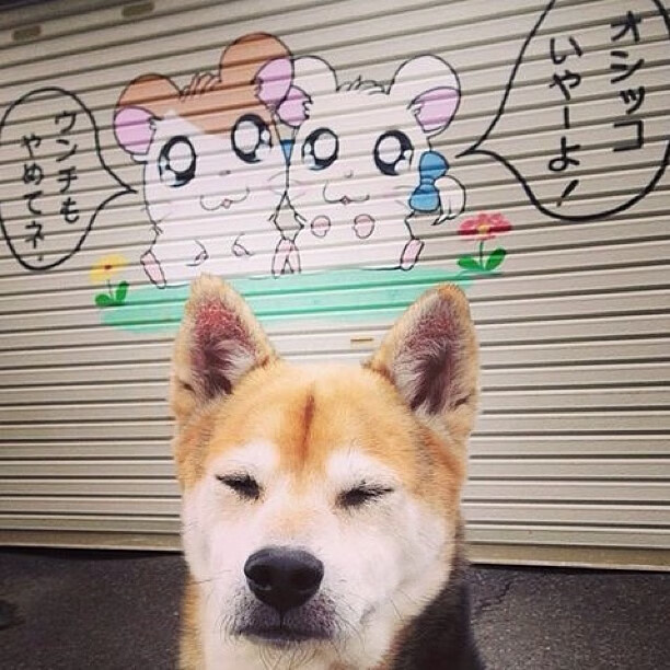 俄罗斯篮球联赛总决赛打响,强强对话,俄罗斯篮球职业联赛 直播