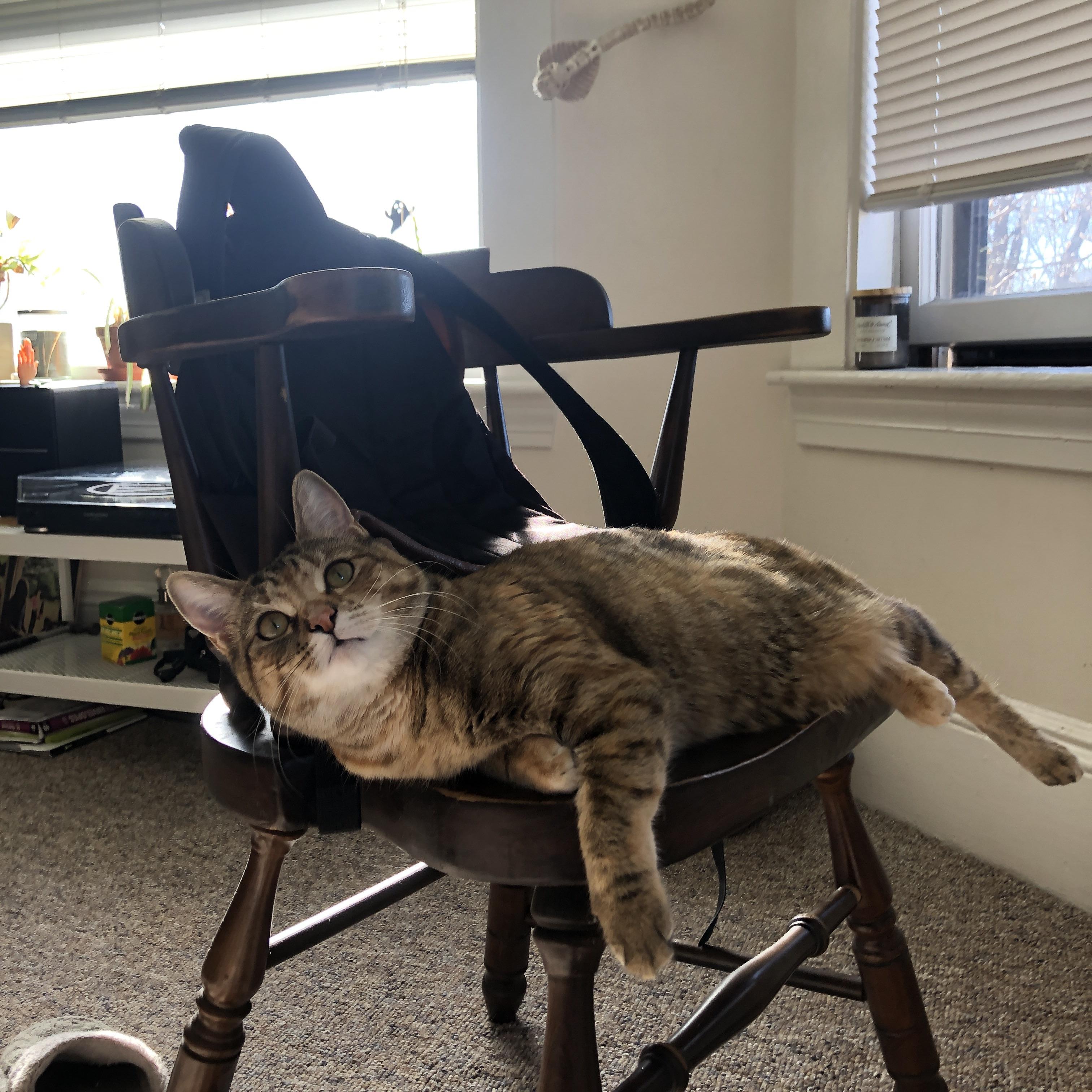 开云中国-佩纳罗尔球员获月度最佳，佩纳罗尔足球俱乐部