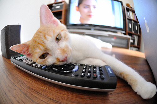 勒沃库森冲击联赛前四,勒沃库森是强队吗